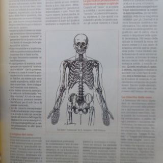Italia Nota il kimbiki do e le ossa alla luce della fisica quantica
